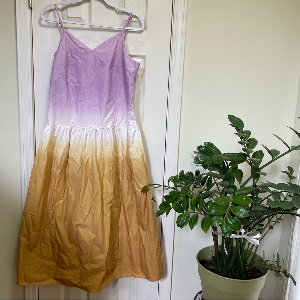 All Saints Caro Dipdye dress 8